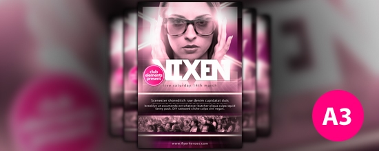 Vixen-free-flyer-template