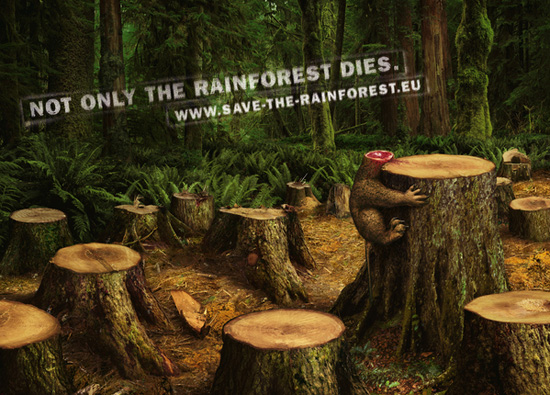 Rainforest