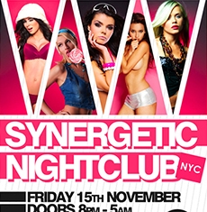 Synergetic Flyer Template