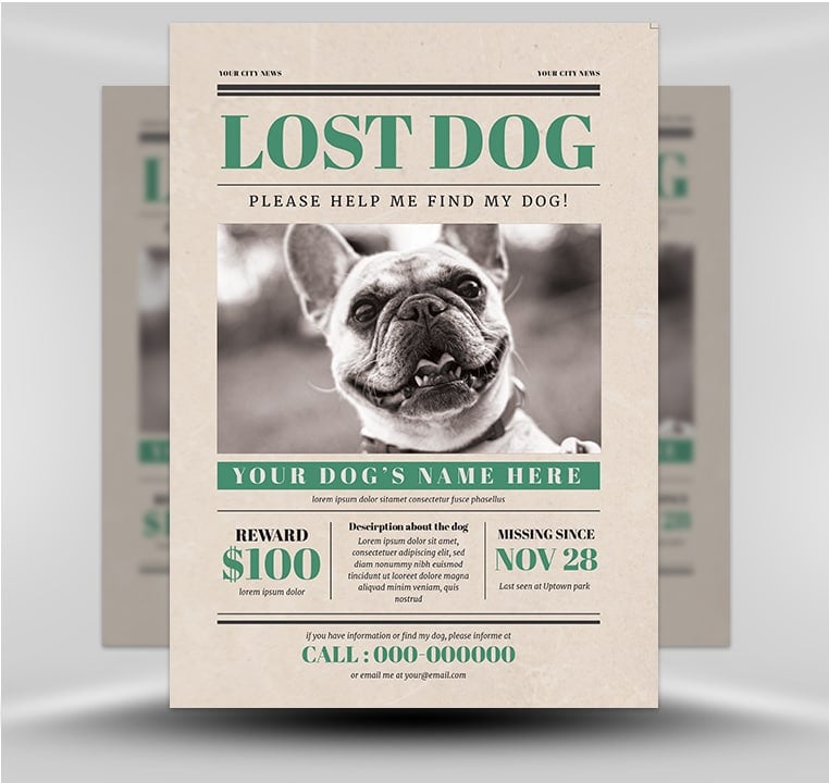 Lost Dog Flyer Template